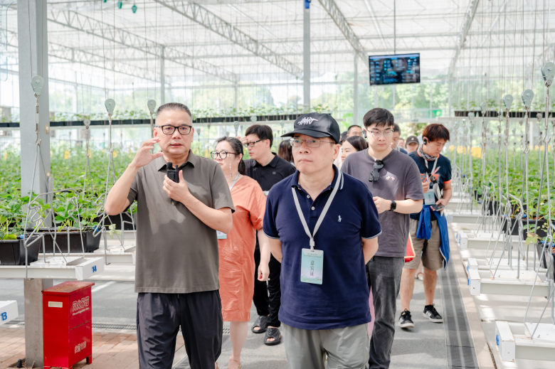 太美了！2025世界溫州人文藝家赴楠溪江創作采風紀實